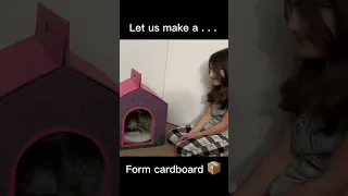 Cat house and scratch pad using cardboard #craft