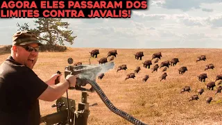 FAZENDEIRO CRIA ARMAMENTO PESADO E CAÇA 180 JAVALIS DE UMA VEZ