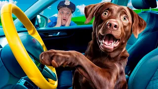 We are in the car Police Song | Nursery Rhymes & Children's Song | Rich and the Detective