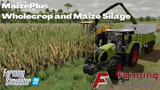 Wholecrop and Maize Silage - MaizePlus - FS22