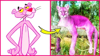 Pink Panther and Pals IN REAL LIFE 💥 ALL Characters 👉@PlentyLive