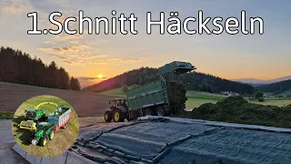 1. Schnitt Häcksln af da Oimaned 🚜🐮  | Gumpenberger_agrar