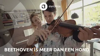 Beethoven is meer dan een hond: Een spoedcursus klassiek!