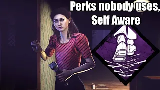 Perks nobody uses, Self Aware - Dead by daylight