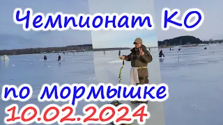 Чемпионат Курской области по рыболовному спорту, ловле рыбы на мормышку со льда 10.02.2024