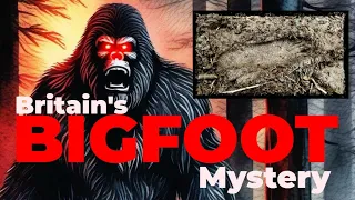 Britain's Bigfoot Mystery