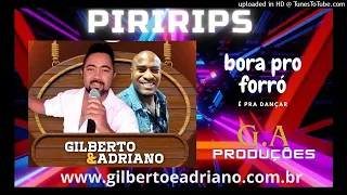 PIRIRIPS - GILBERTO E ADRIANO (COVER)