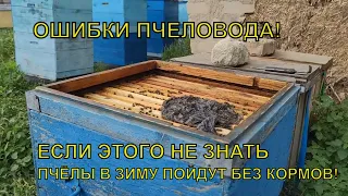 ОШИБКИ ПЧЕЛОВОДА НЕПРАВИЛЬНОЕ КОРМЛЕНИЕ пчёлы есть а кормов в зиму нет☝️🐝🐝