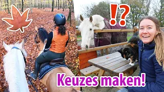 Buitenrit, EXAMEN mennen & slecht nieuws halsters + dekjes :( | felinehoi VLOG #491