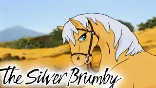 The Silver Brumby | The Fastest Horse! 🐎| HD FULL EPISODES