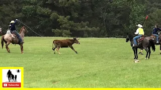 Pasture Team Roping 🤠🐂 🤠 The 1836 Chuckwagon Races 2022 - Saturday