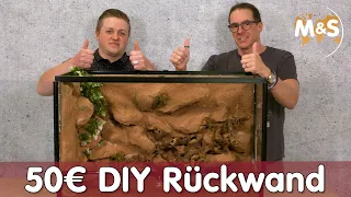 50€ Terrarium Rückwand bauen | DIY Anleitung | Reptil TV