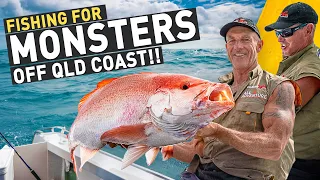 🔥 HUGE crabs and MONSTER fish (Queensland coast, Australia)