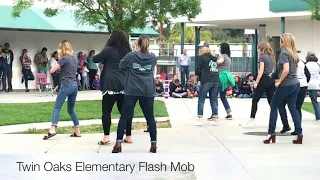 Twin Oaks Elementary Flash Mob