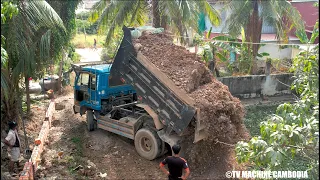 Opening Project Village Filling Land Using Mini Dozer Leveling & Push Mango Tree Truck Unloading