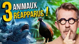 3 ANIMAUX qu'on pensait DISPARUS (et qui ont réapparu) ft @laboiteacuriosites