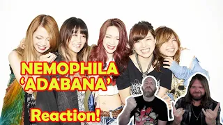 Musicians react to hearing NEMOPHILA - ADABANA !