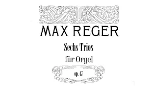 Max Reger - Sechs Trios op. 47