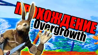 ПРОХОЖДЕНИЕ Overgrowth | НАРЕЗКА ОВЕРГРОС