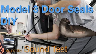 Tesla Model 3 Door Seals - Do They Work?