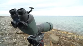 Swarovski BTX  - new binocular spotting scope - Austria tour February 2017 © Biotope