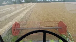 combining winter barley 2022 claas dominator 68