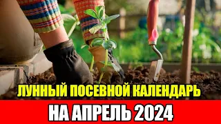 Лунный Посевной Календарь на АПРЕЛЬ 2024 / Сажаем только в БЛАГОПРИЯТНЫЕ ДНИ