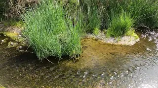 Exploring a road side creek in the town of Truth or Consequences NM #ADRIANUNKNOWN