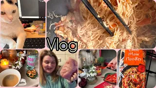 Vlog | Mergem la Lidl, gătim chinezește - noodles cu sos dulce acrișor și curcan