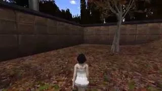 Second Life 60fps test on Firestorm