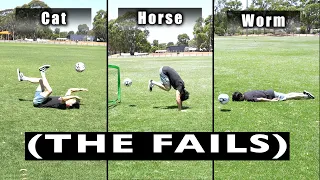 How Animals Score A Goal in Soccer/Football (THE FAILS)