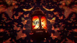 Tamashi - Мотыльки (Премьера трека, 2024)