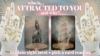 PICK A CARD: 🧲WHO IS ATTRACTED TO YOU AND WHY?🧲