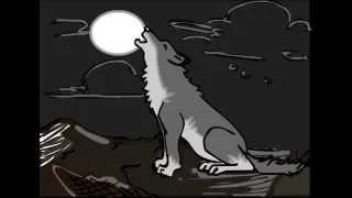 wolf responding and howling