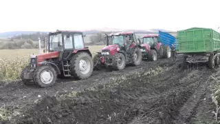 Sárba ragadt pótkocsi mentése 2015 / Stucked trailer rescue from the mud 2015