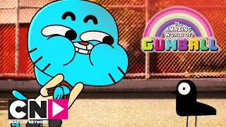 Die fantastische Welt von Gumball | Zaubertalent | Cartoon Network