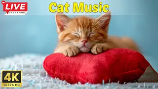 Peaceful Music to Relax and Calm Cats | Calming Sleep Music with Cat Purring Sounds🐱