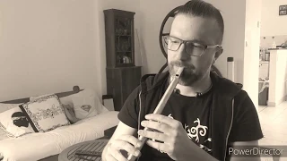 The SIDH - I'm just a SIDH in Ireland tin whistle (Cover and Tutorial)