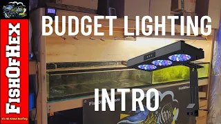 Coral Grow Out Budget Lighting Part 1 Intro | Nicrew HyperReef 150