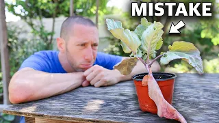 You’re Killing Your Plants if You Do This, 10 MISTAKES You Can’t Afford to Make in the Garden