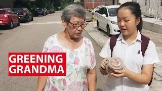 Getting Grandma To Go Zero-Waste And Plastic-Free | On The Red Dot | CNA Insider