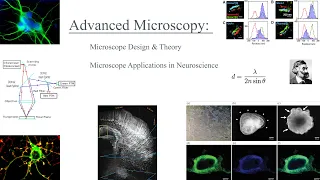 Understanding Microscopy: Theory, Design, & Application in Neuroscience