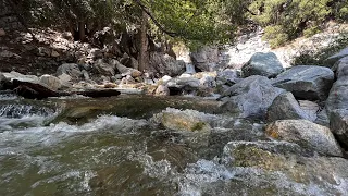 A Day Hike to Forest Falls, San Bernardino, California (4K)