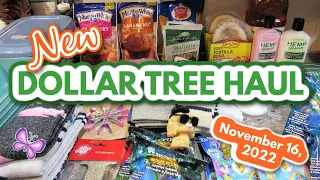 Fun DOLLAR TREE HAUL!  GOLD TOE SOCKS!  November 16, 2022