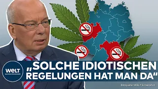 CANNABIS-LEGALISIERUNG: "Idiotische Regelungen!" Rainer Wendt kritisiert neues Gesetz scharf!