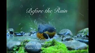 Before the Rain  /  Woody Tritone A-minor Tank Drum Improvisation by Suliko Chuiko