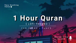 Beautiful Quran Recitation | Omar Hisham Al Arabi | One Hour Quran