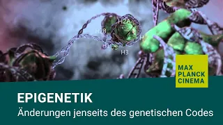 Epigenetik - Änderungen jenseits des genetischen Codes