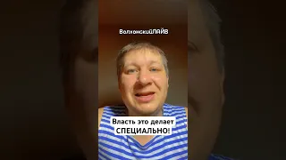 Власть нас пытается разругать #волхонскийлайв