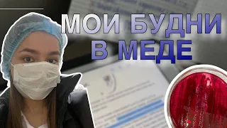 vlog: будни в медицинском университете | месяц до сессии | день матери